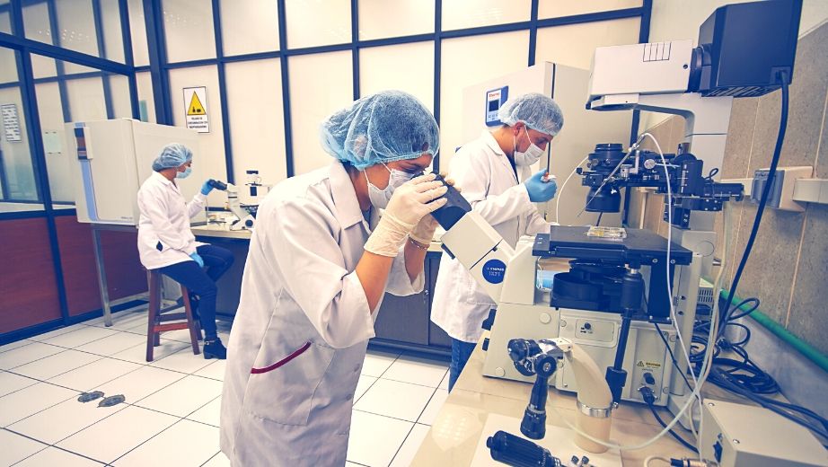 Students in one of the laboratories