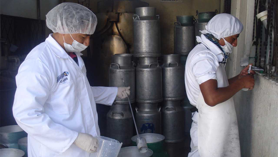 People working on milk samples