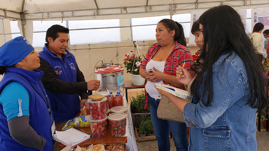 La Asociación de Mujeres Productoras Agroecológicas de Cayambe presentan productos orgánicos a base de frutillas, maíz, papas, entre otros