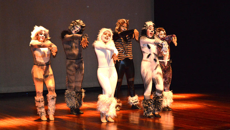 Presentación del Teatro Musical 