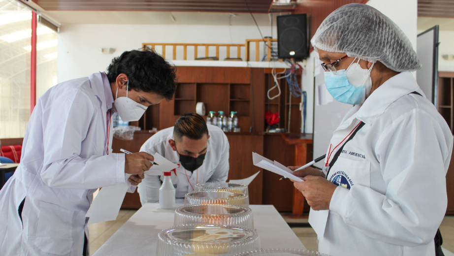 Judges evaluating the cheese