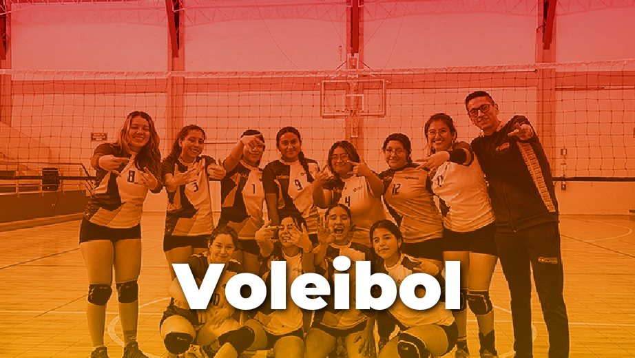 Voleibol