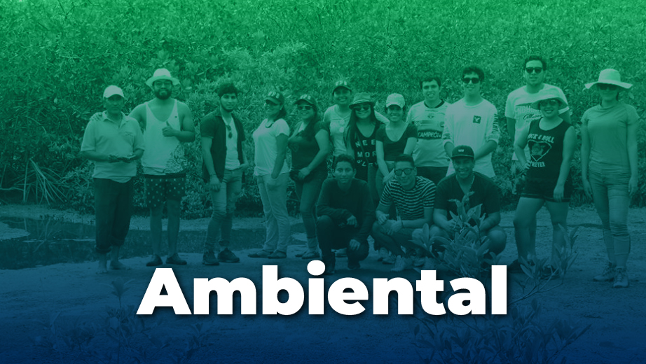 Ambiental