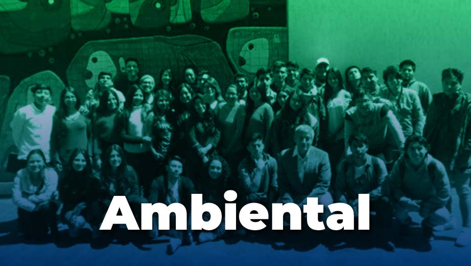 Ambiental