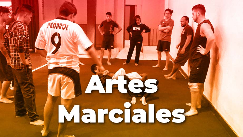 Artes Marciales