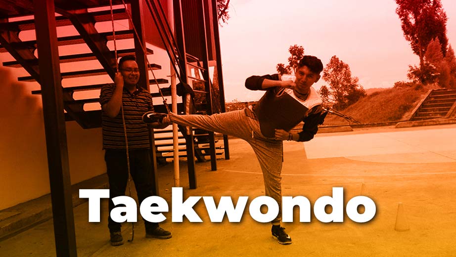 Taekwondo