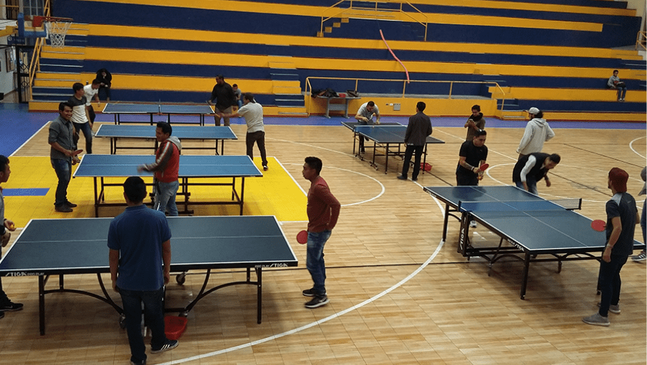 Pelotas Para Entrenamiento Ping Pong, Al Sur De Quito